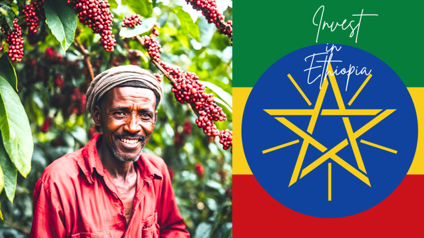 Ethiopia’s Brewing Investment Opportunity