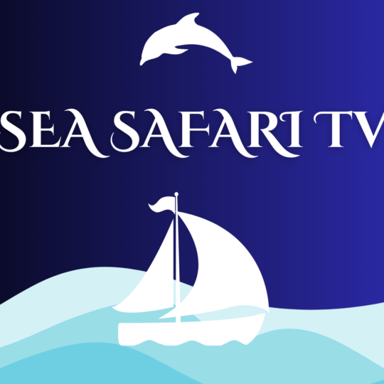 Sea Safari TV