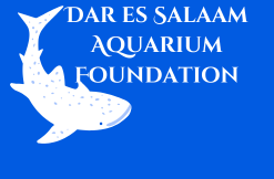 Dar es Salaam Aquarium